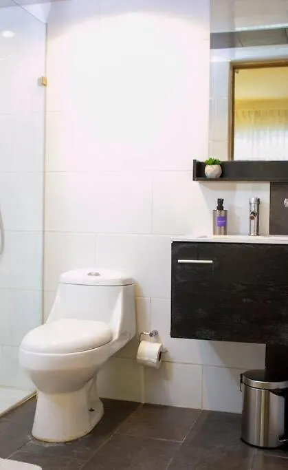 Modern And Centric Apartment With Pool And Gym At Downtown 聖多明哥
